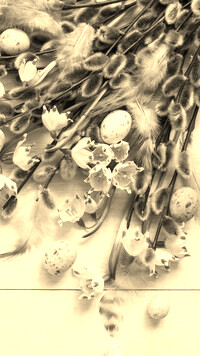 Szary + Sepia