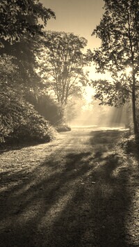 Szary + Sepia