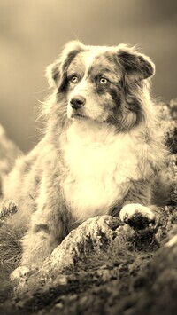 Sepia