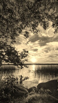 Szary + Sepia