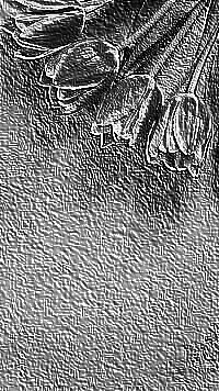 Skamielina