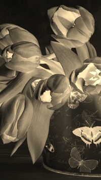 Sepia + Negatyw