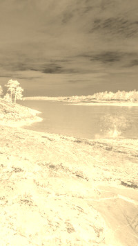 Sepia + Negatyw