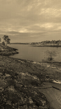 Szary + Sepia
