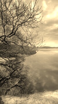 Szary + Sepia