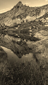Szary + Sepia