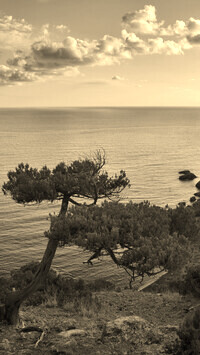 Sepia