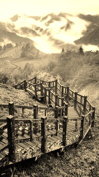 Sepia