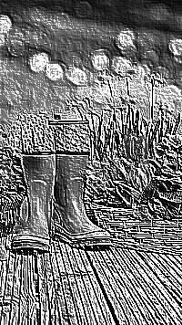 Skamielina