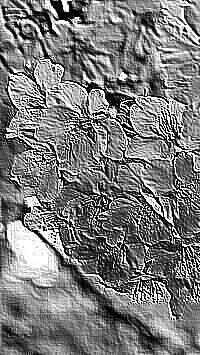 Skamielina