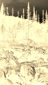 Sepia + Negatyw