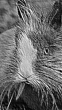 Skamielina