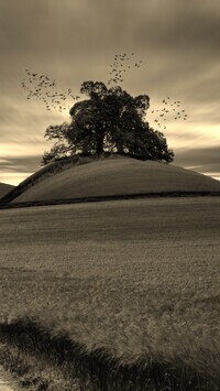Sepia