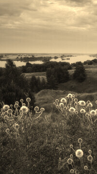 Szary + Sepia