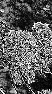 Skamielina