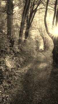 Szary + Sepia