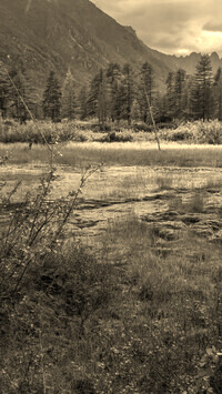 Szary + Sepia