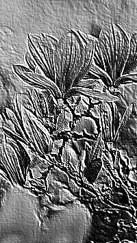 Skamielina