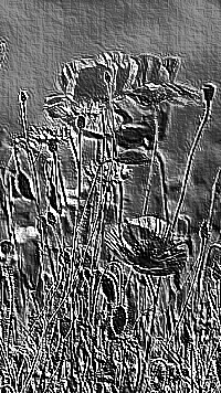 Skamielina