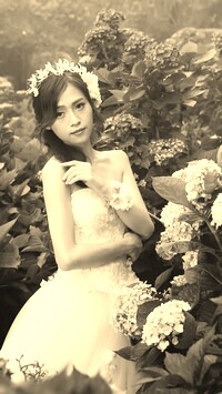 Szary + Sepia