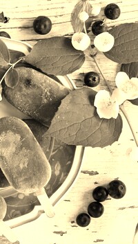 Szary + Sepia