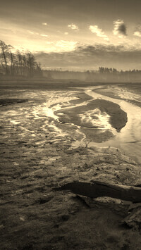 Szary + Sepia