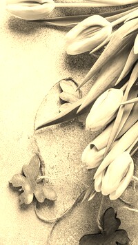 Szary + Sepia