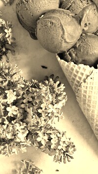 Szary + Sepia