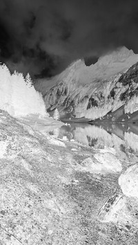 Szary + Negatyw
