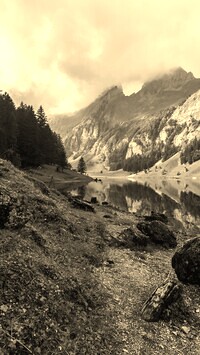 Szary + Sepia