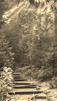 Szary + Sepia