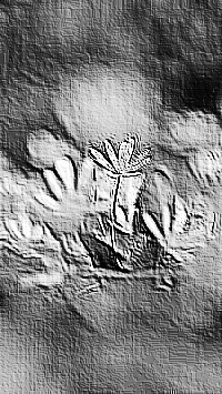 Skamielina