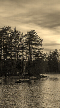 Sepia