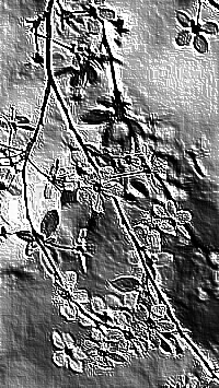 Skamielina