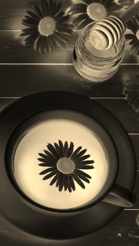 Sepia + Negatyw