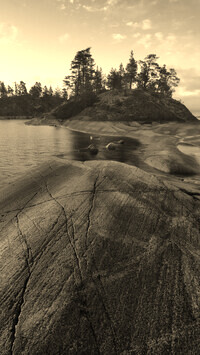 Szary + Sepia
