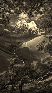 Sepia