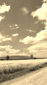 Szary + Sepia
