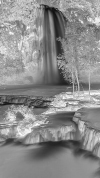 Szary + Negatyw