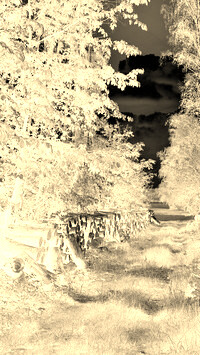 Sepia + Negatyw