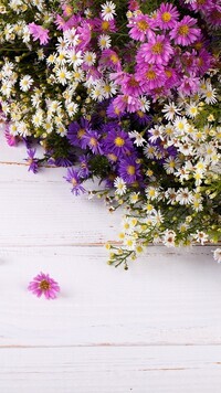 Oryginalny obrazek