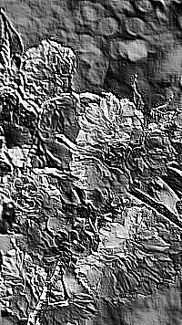 Skamielina
