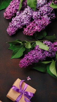 Oryginalny obrazek