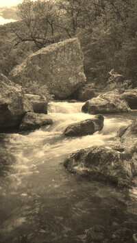 Sepia