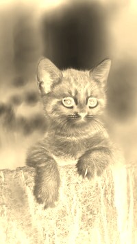 Sepia + Negatyw