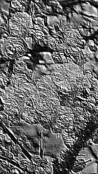 Skamielina