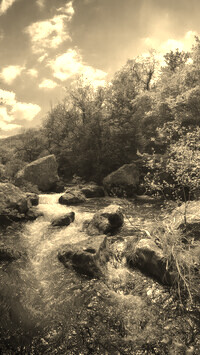 Szary + Sepia