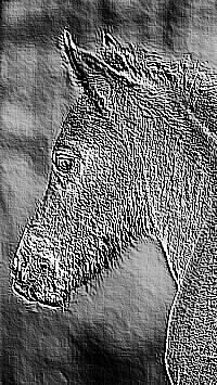 Skamielina