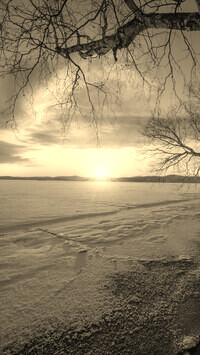 Szary + Sepia