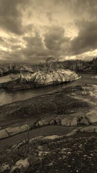 Sepia